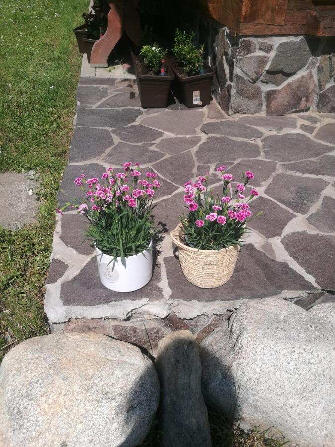 Drevenica Zapadne Tatry S Kupacou Kadou A Krbom Appartement Žiar Buitenkant foto