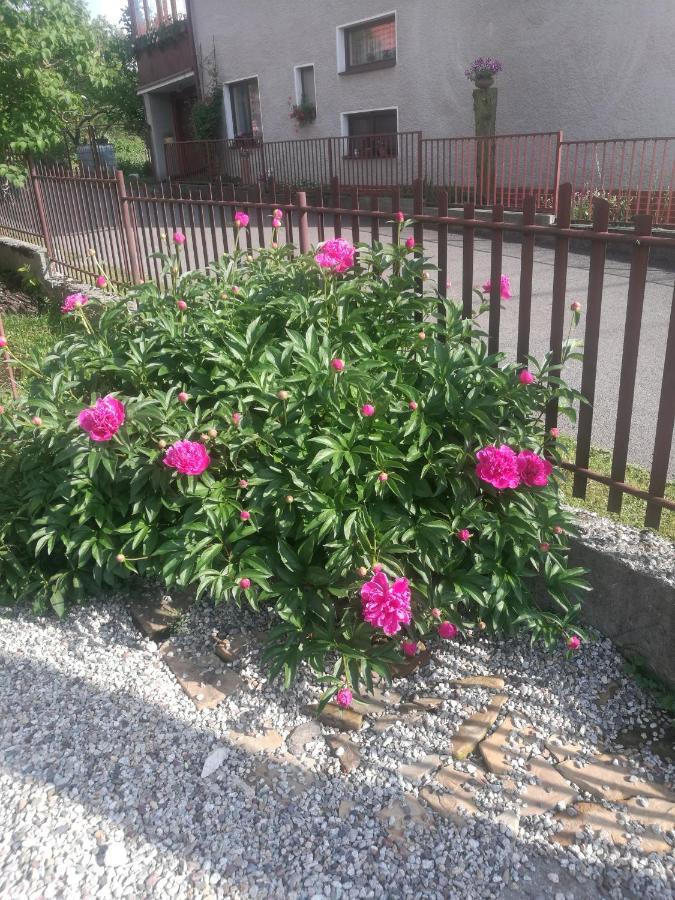 Drevenica Zapadne Tatry S Kupacou Kadou A Krbom Appartement Žiar Buitenkant foto