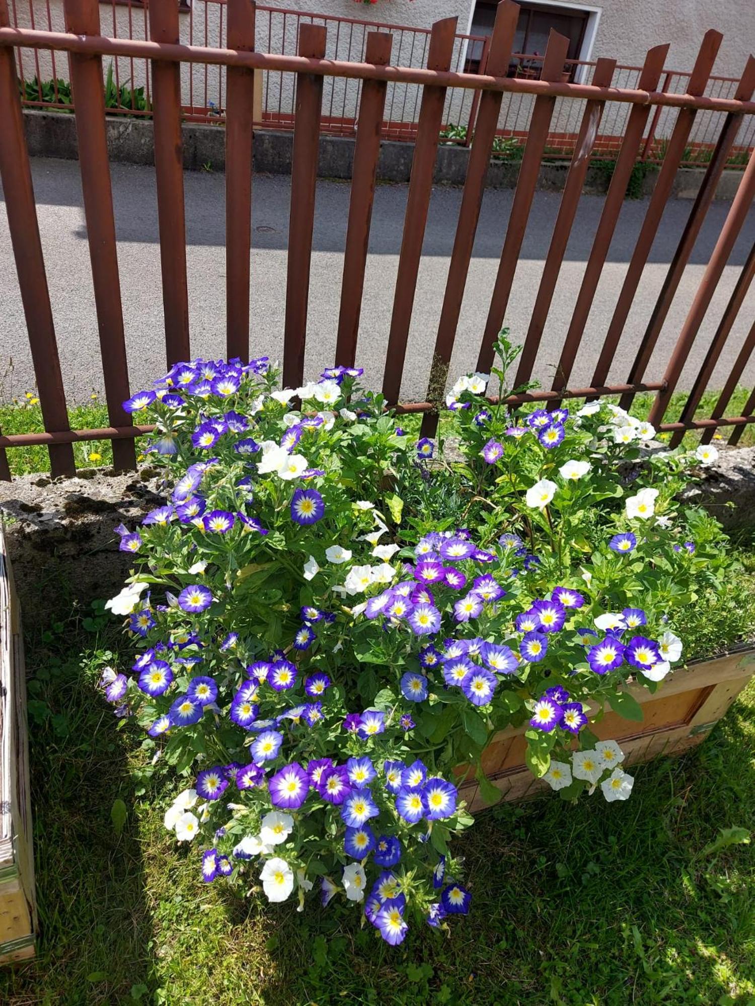 Drevenica Zapadne Tatry S Kupacou Kadou A Krbom Appartement Žiar Buitenkant foto