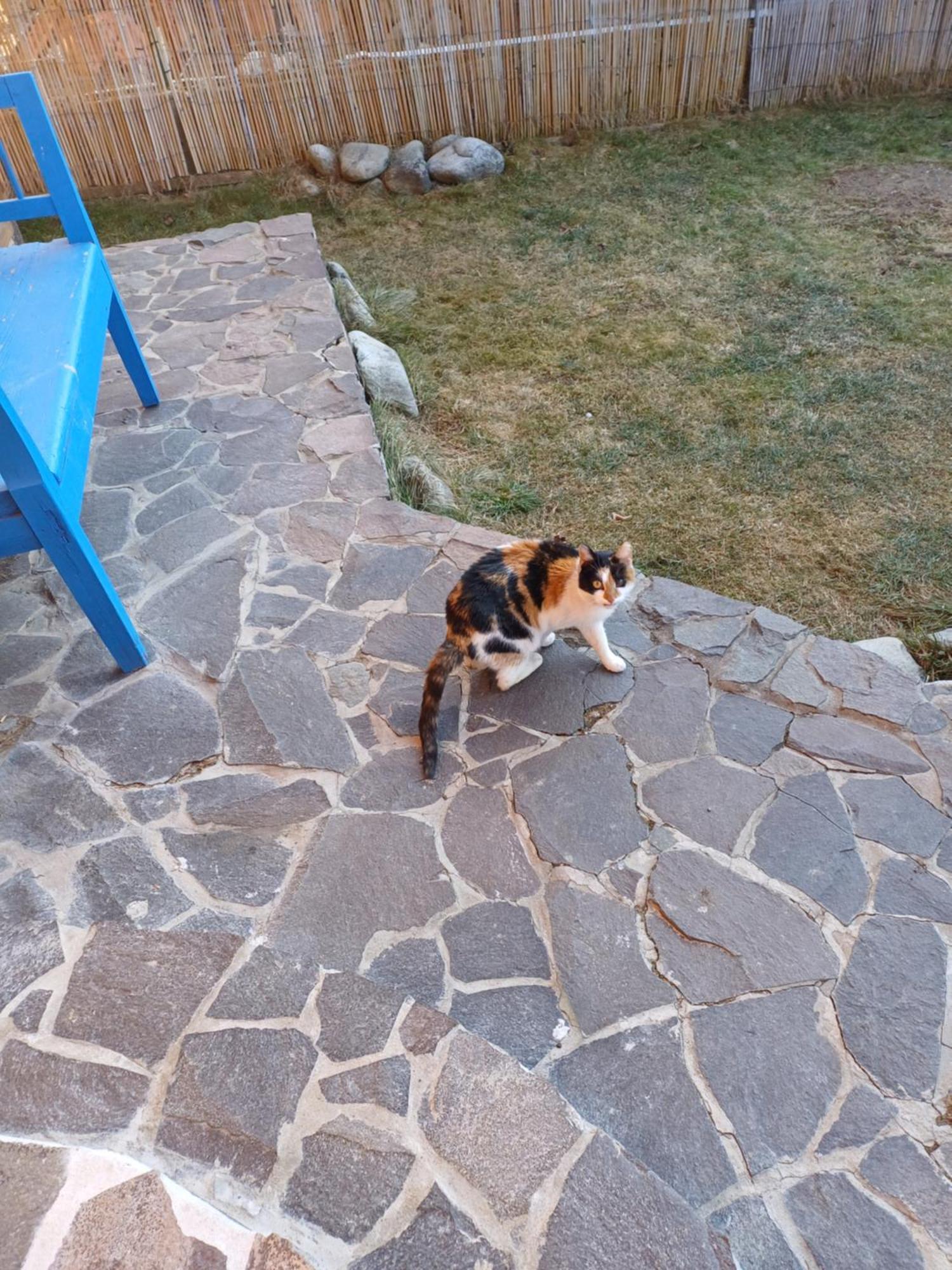 Drevenica Zapadne Tatry S Kupacou Kadou A Krbom Appartement Žiar Buitenkant foto