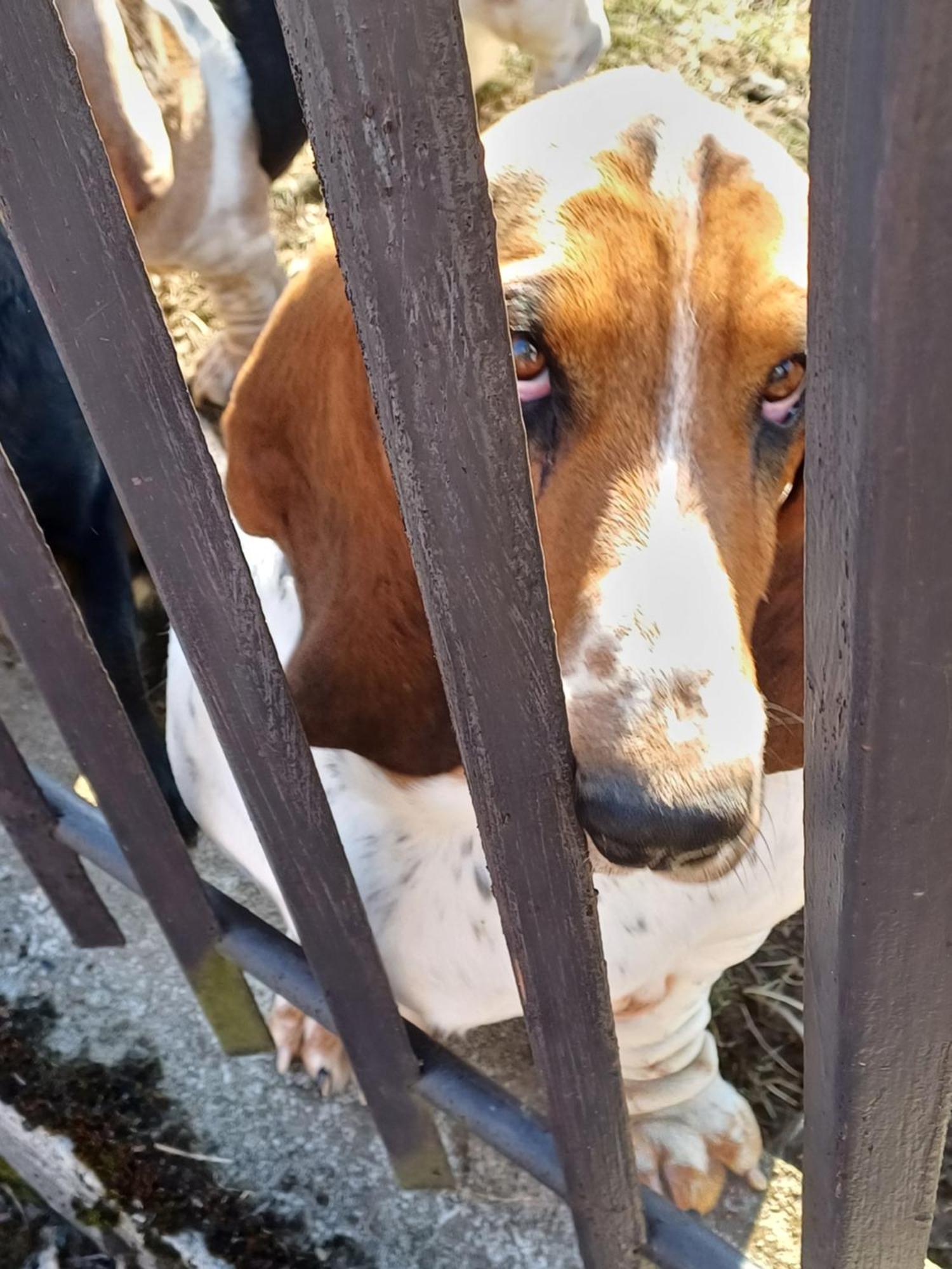 Drevenica Zapadne Tatry S Kupacou Kadou A Krbom Appartement Žiar Buitenkant foto